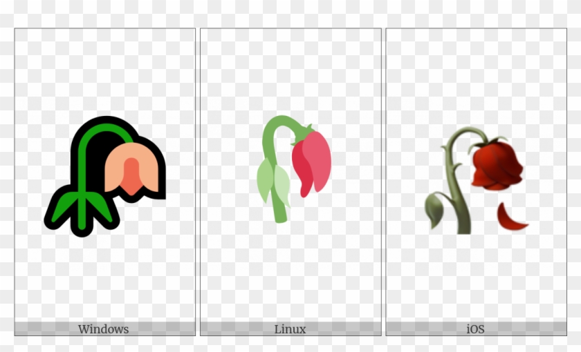 Wilted Flower On Various Operating Systems - Wilted Flower On Various Operating Systems #1479777