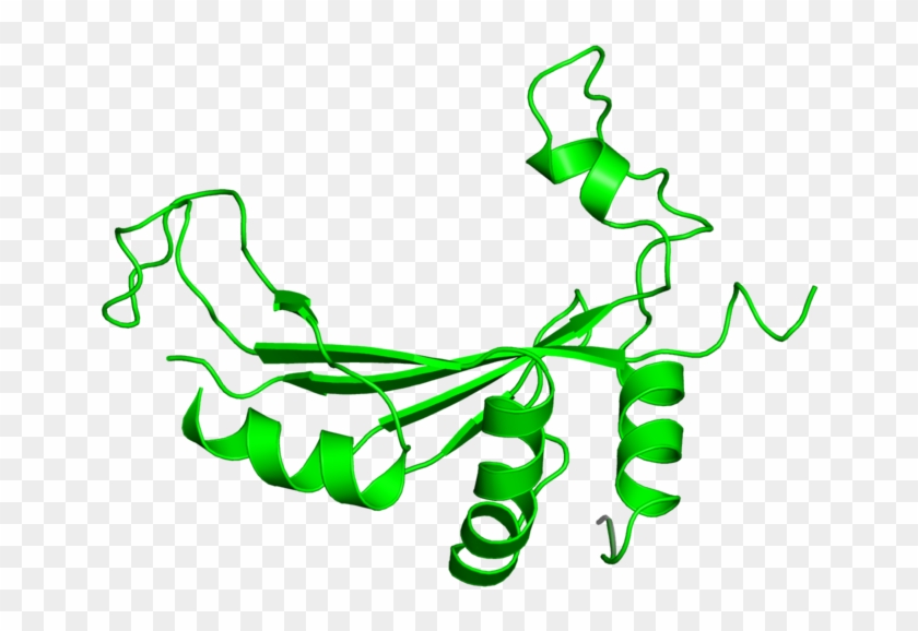 <div Class='caption-body'>1 Copy Of Cath Domain < - <div Class='caption-body'>1 Copy Of Cath Domain < #1480151