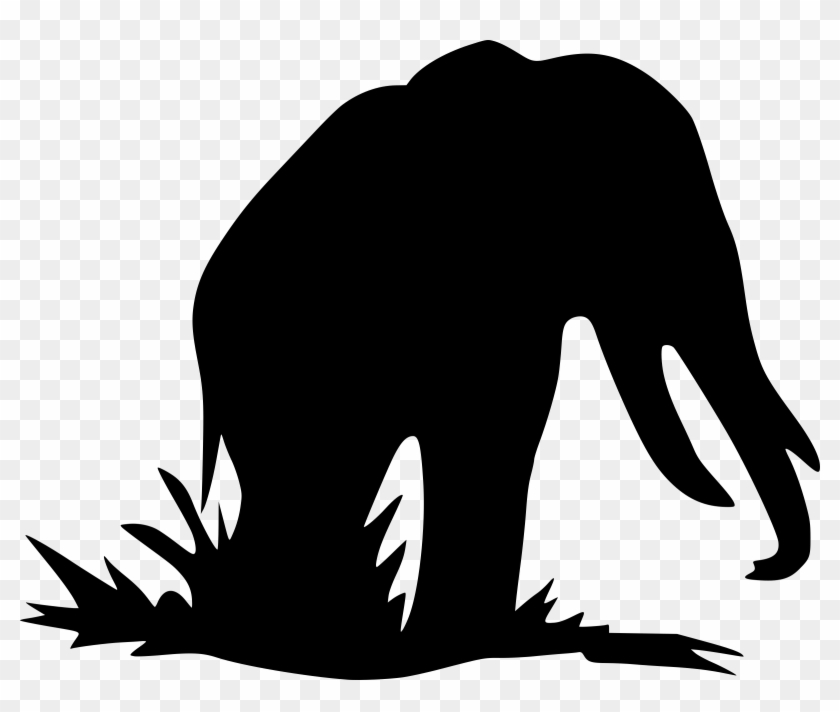 All Photo Png Clipart - All Photo Png Clipart #1480336