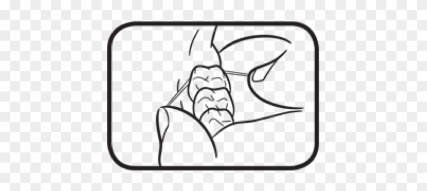 Hold The Floss Tightly Against The Tooth - Hold The Floss Tightly Against The Tooth #1480540