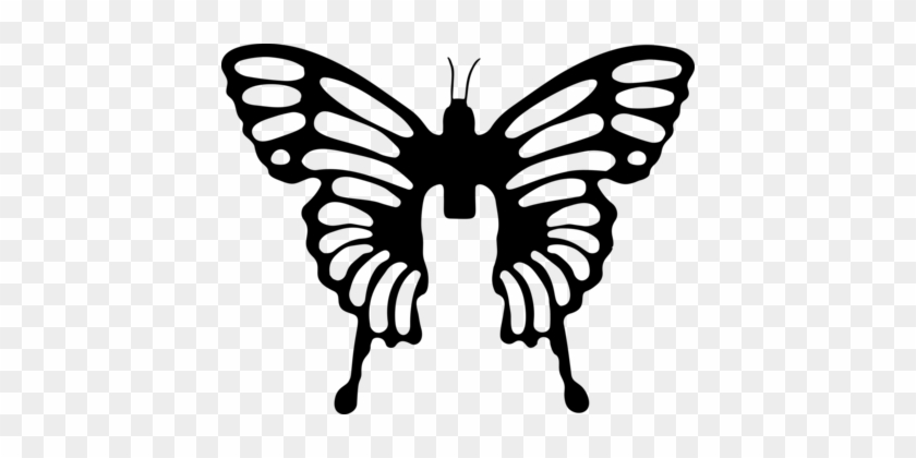 Monarch Butterfly Drawing Line Art Silhouette - Monarch Butterfly Drawing Line Art Silhouette #1480630