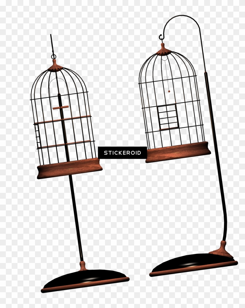 Cage Bird Objects - Cage Bird Objects #1480787