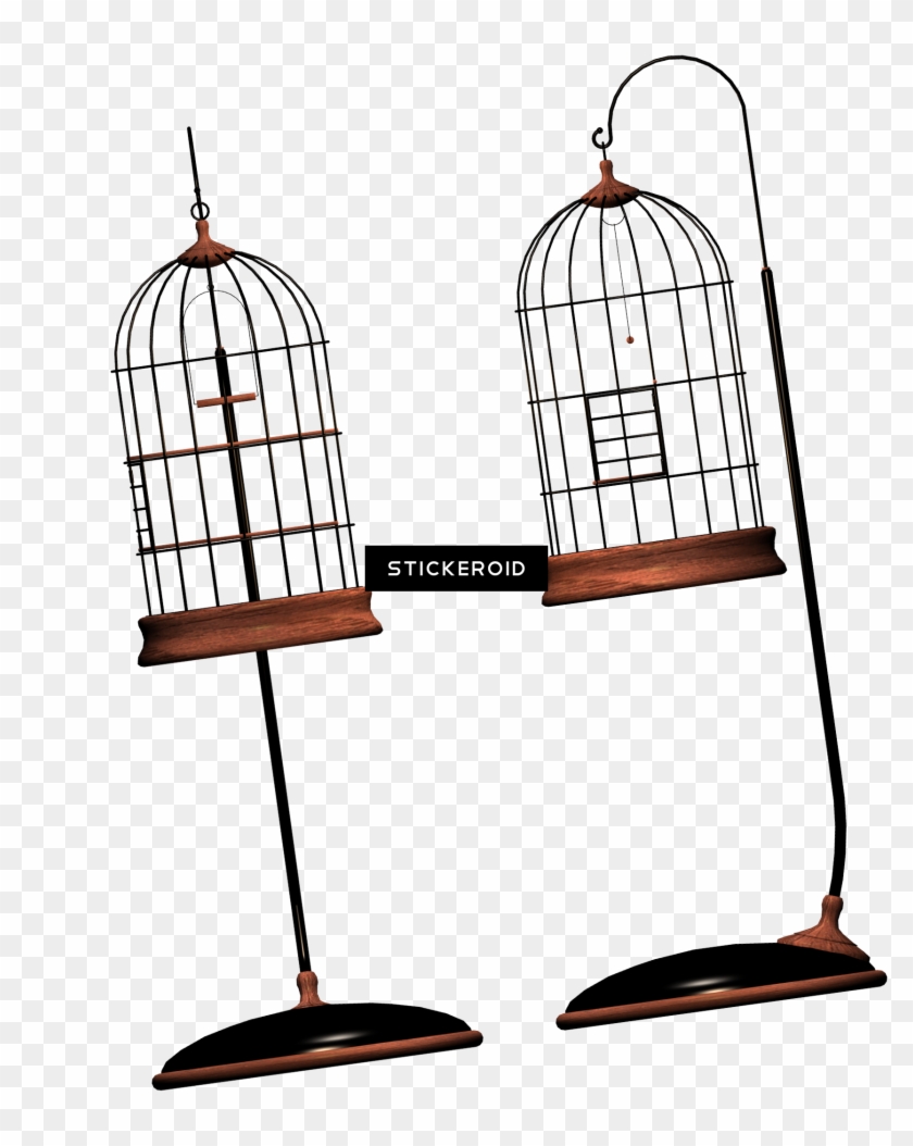 Cage Bird Objects - Cage Bird Objects #1480787