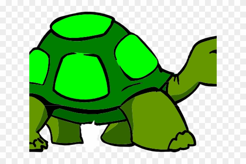 Body Clipart Turtle - Body Clipart Turtle #1481090