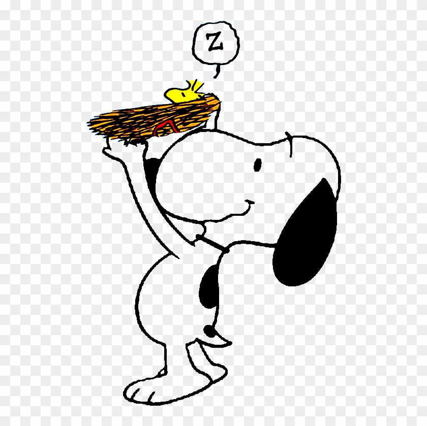 Peanuts Cartoon, Peanuts Snoopy, Snoopy And Woodstock, - Peanuts Cartoon, Peanuts Snoopy, Snoopy And Woodstock, #1481143
