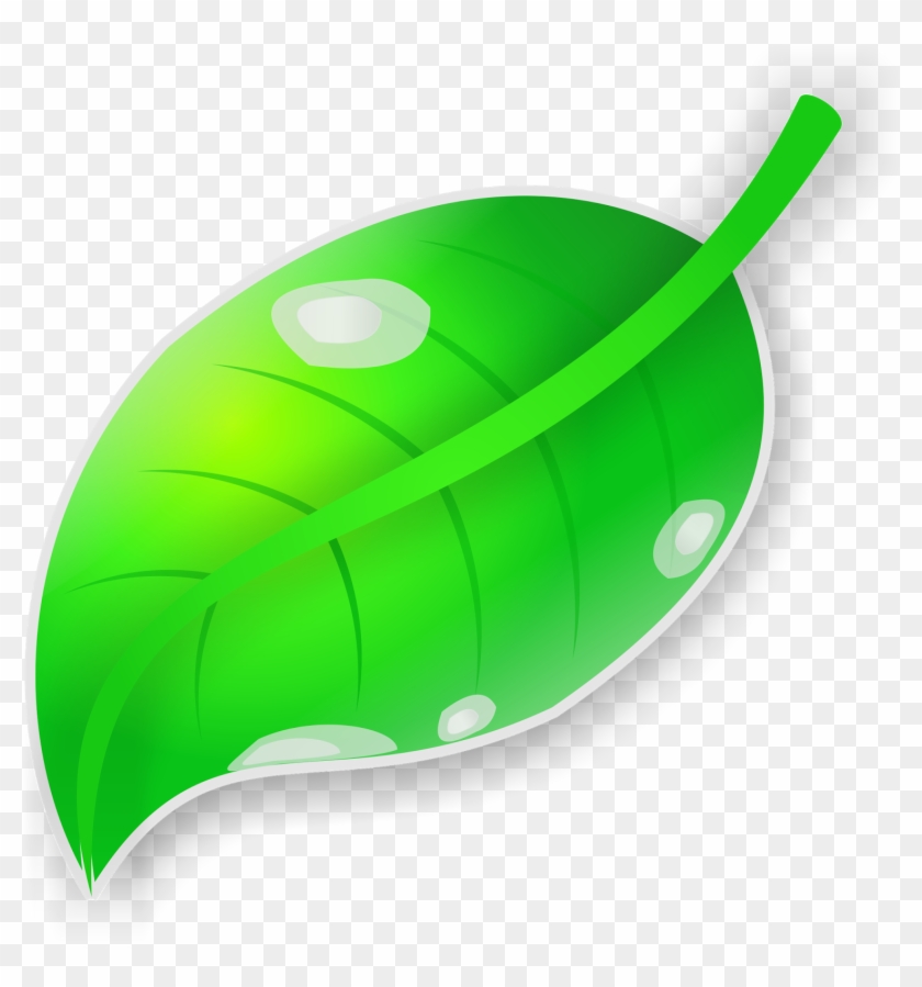 Vektor Daun Dengan Coreldraw X7 - Vektor Daun Dengan Coreldraw X7 #1481280