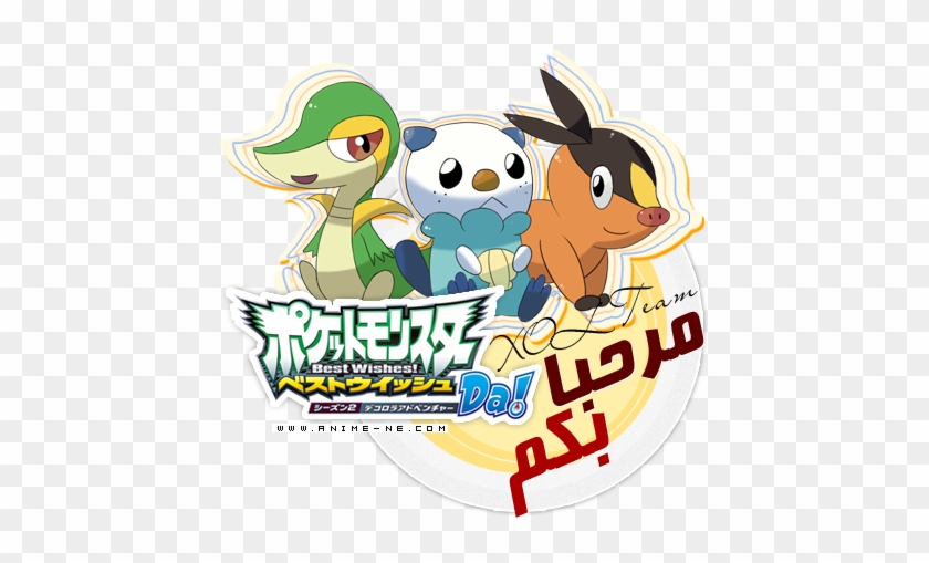 الحلقة Pokemon Best Wishes Dekorora Crhryfj - الحلقة Pokemon Best Wishes Dekorora Crhryfj #1481483