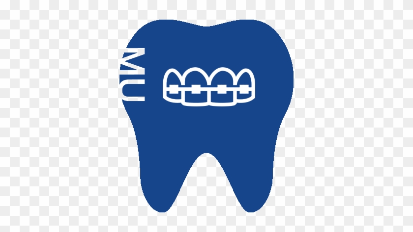 Department Of Orthodontics - Department Of Orthodontics #1481914