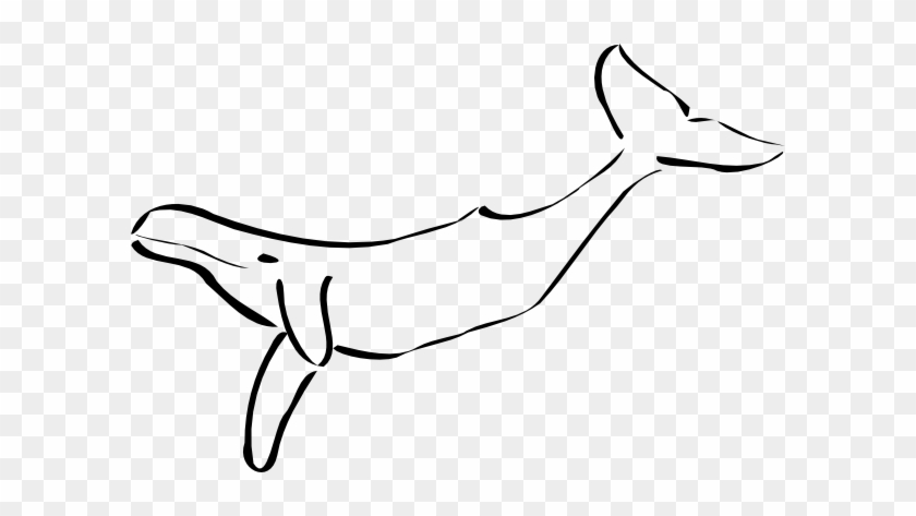 Blue Whale Clipart Free Download Clip Art Free Clip - Outline Of A Whale #231009