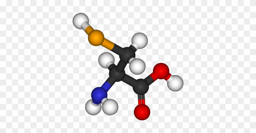 Structural Biochemistry/other Non Common Amino - Selenocysteine #231013