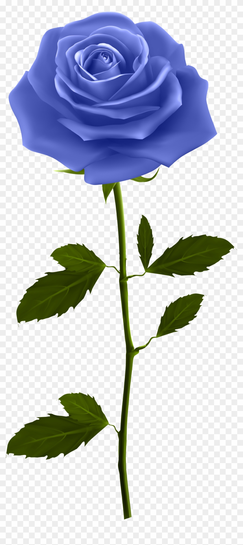 good morning gif hd free transparent png clipart images download