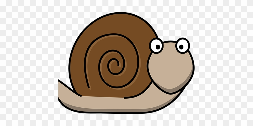 Fog Clipart Teacher - Snail Cartoon Transparent #232162