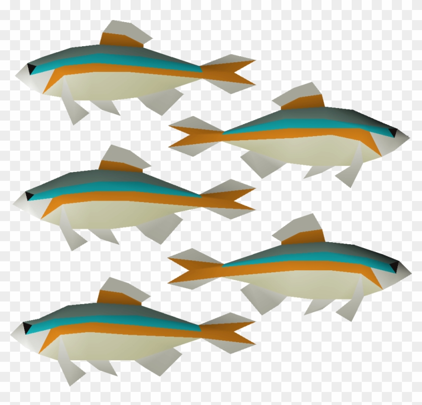 Minnows Are Members-only Fish That Can Be Caught At - School Minnows Png #232317