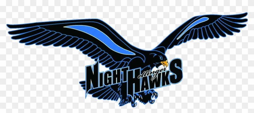 Hettinger Public School - Nighthawk Logo #233077