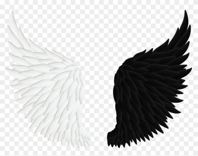 Collection Angel Clipart Png - Swan Wings Png #233784