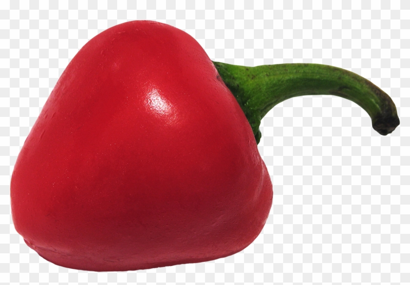 Pepper Png Image Purepng Free Transparent Cc - Pepper Png Image Purepng Free Transparent Cc #1482650