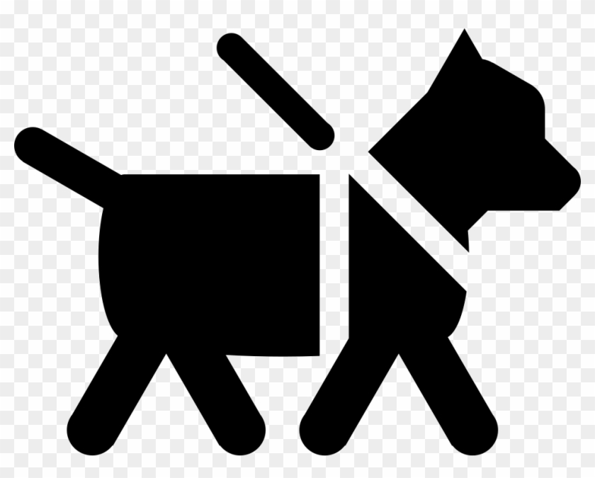 Fi Guide Dog Comments - Fi Guide Dog Comments #1483129