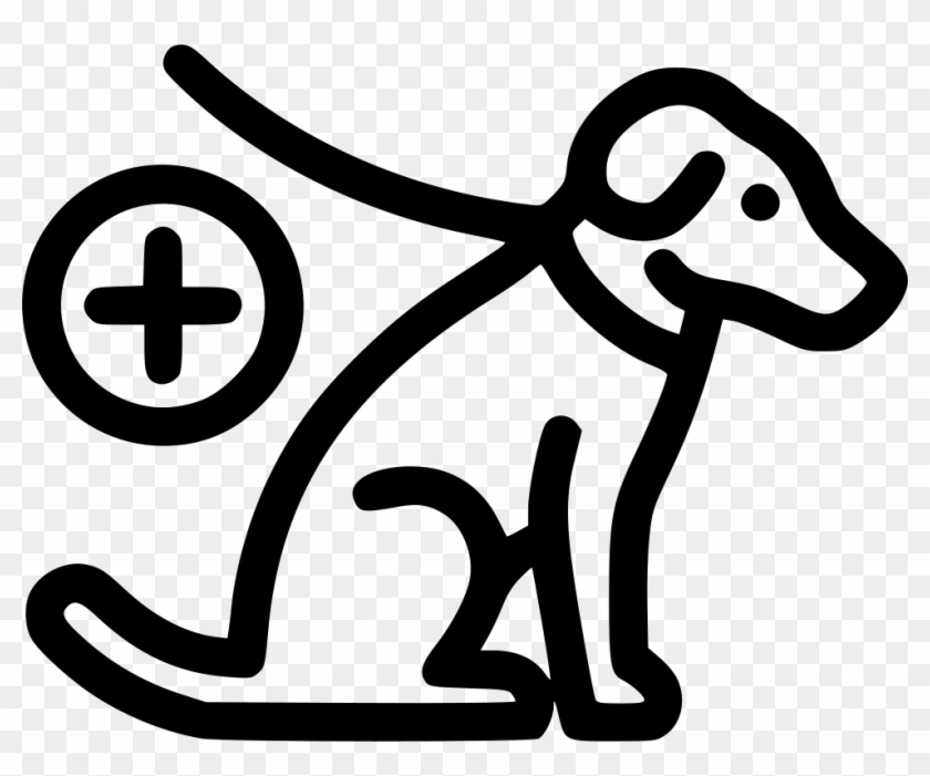 Guide Dog Comments - Guide Dog Comments #1483135