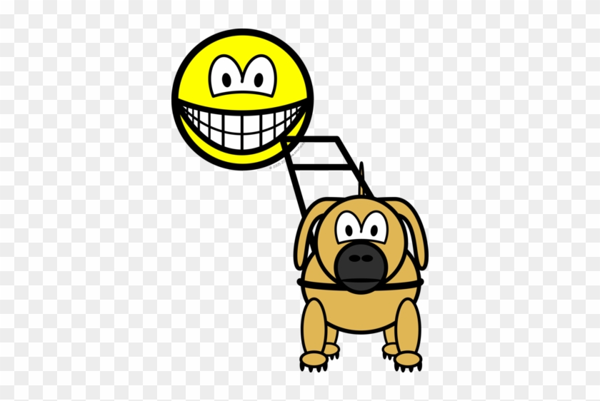 Guide Dog Smile - Guide Dog Smile #1483136