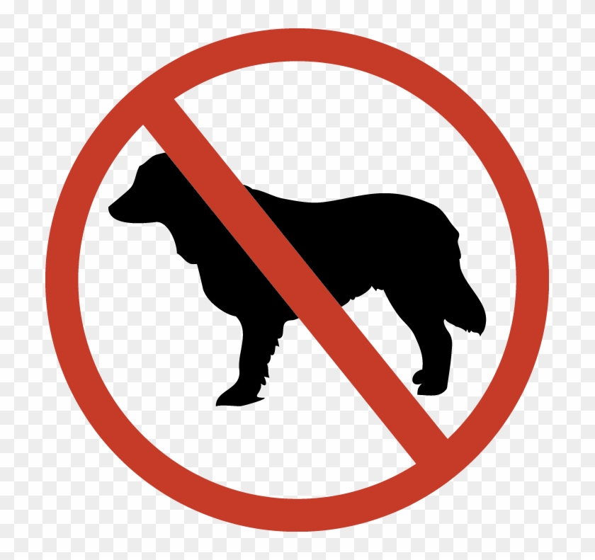 No Animals Will Be Permitted Except For Support Dogs, - No Animals Will Be Permitted Except For Support Dogs, #1483140