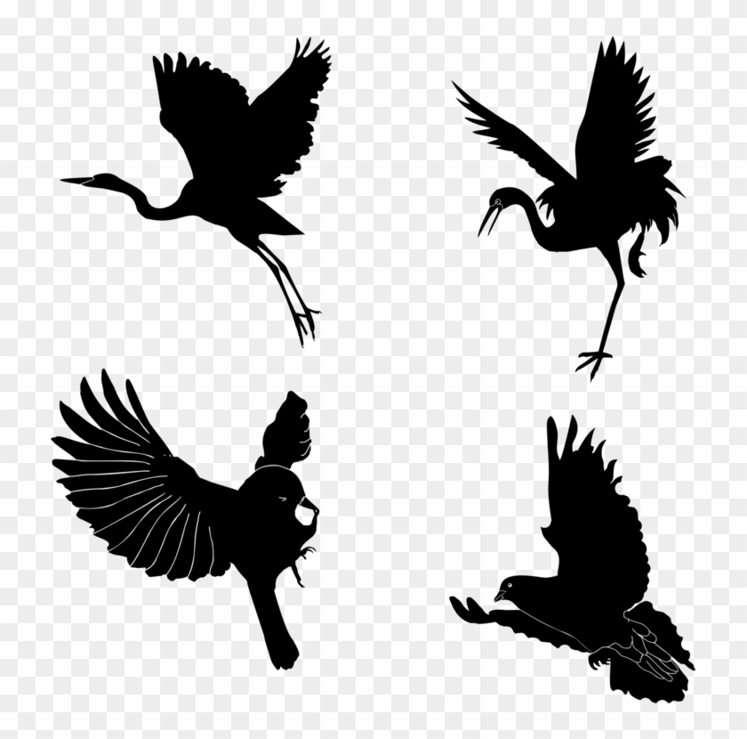 All Photo Png Clipart - All Photo Png Clipart #1483389