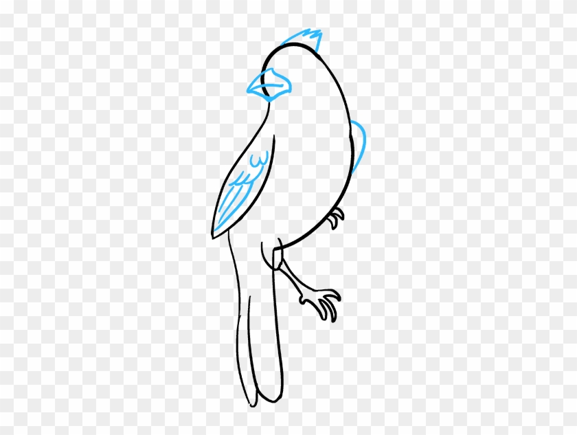 Cardinal Really Easy Drawing Tutorial Step - Cardinal Really Easy Drawing Tutorial Step #1483398