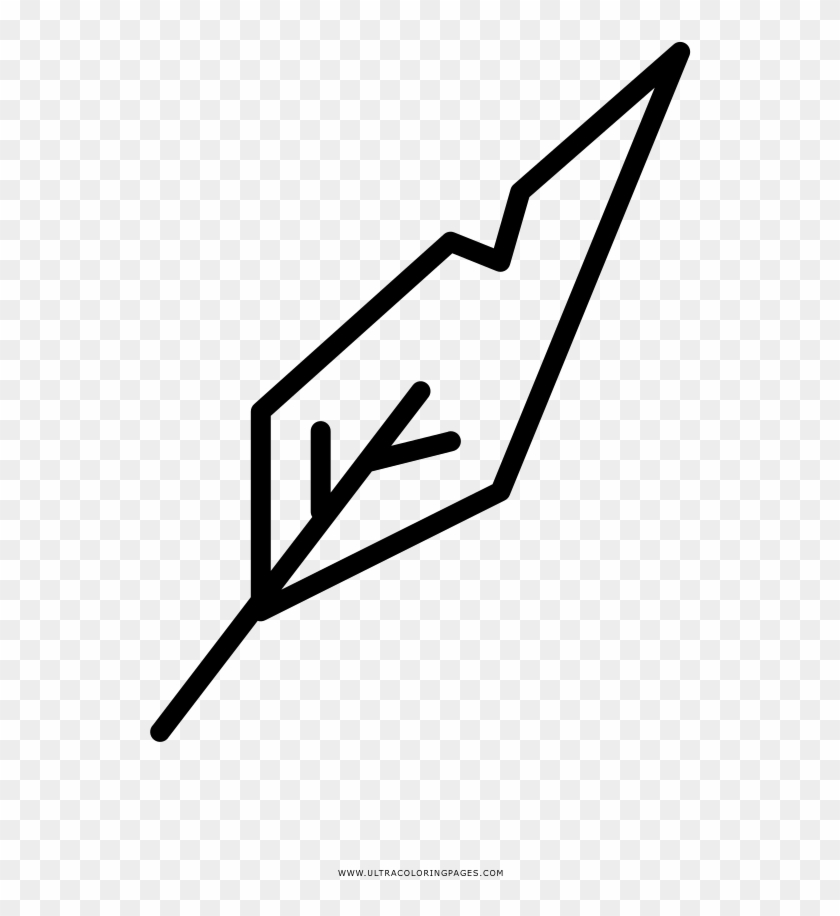 Bird Feather Coloring Page - Bird Feather Coloring Page - Free