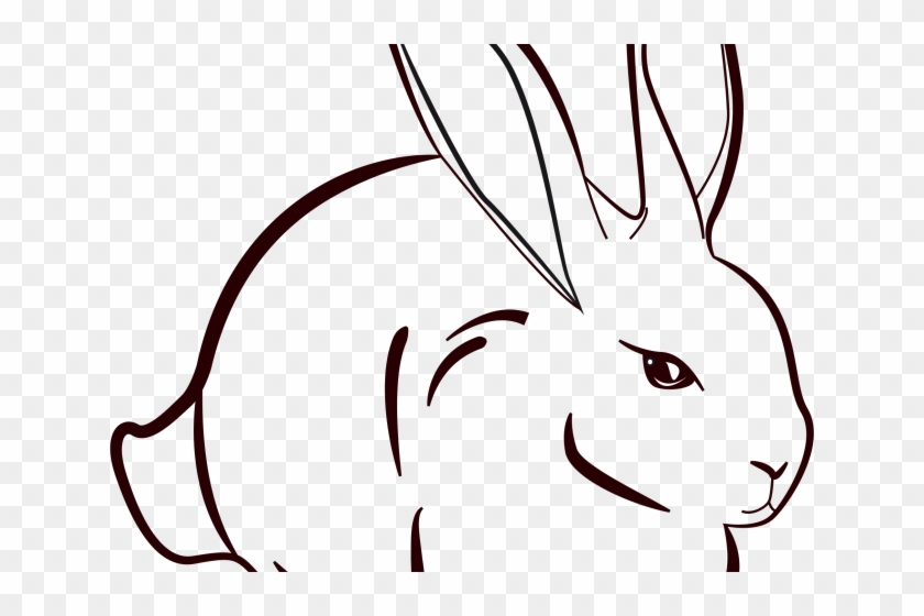Drawn Bunny Khargosh - Drawn Bunny Khargosh #1483422