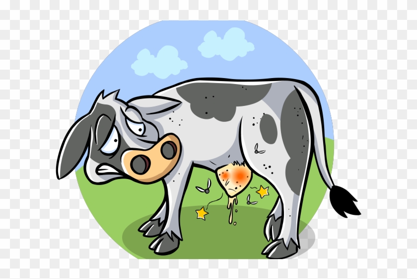 Drawn Cow Sick Cow - Drawn Cow Sick Cow #1483790
