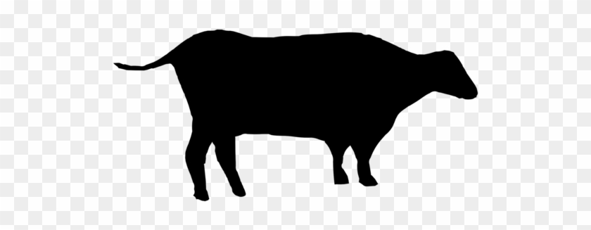 Angus Cattle Silhouette Dairy Cattle Vexel - Angus Cattle Silhouette Dairy Cattle Vexel #1483792