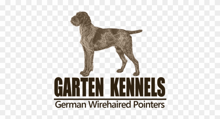 German Wirehaired Pointer Logo - German Wirehaired Pointer Logo #1484540