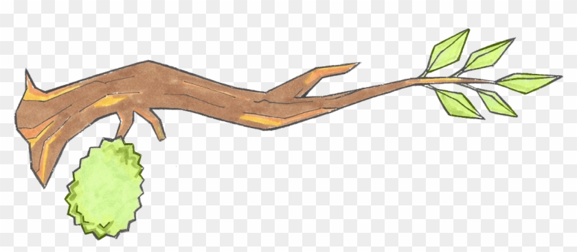 Durian Email Newsletter - Durian Email Newsletter #1485075