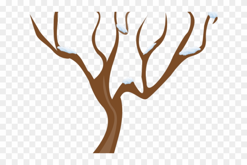 Plant Clipart Tree - Plant Clipart Tree #1485082