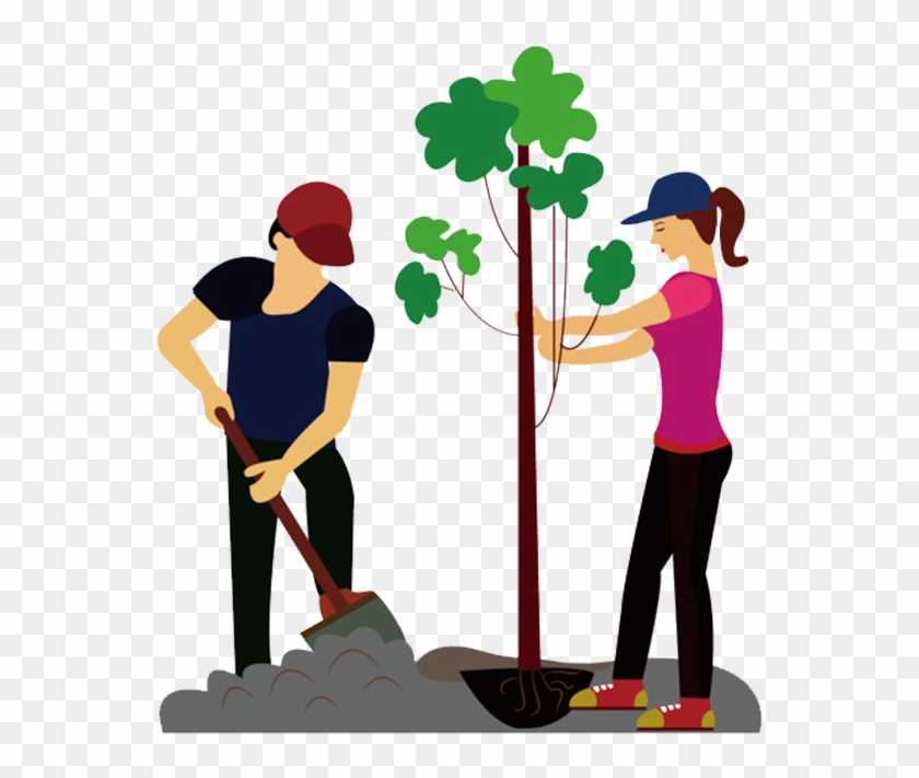 Download Tree The Man Who Planted Trees - Download Tree The Man Who Planted Trees #1485088