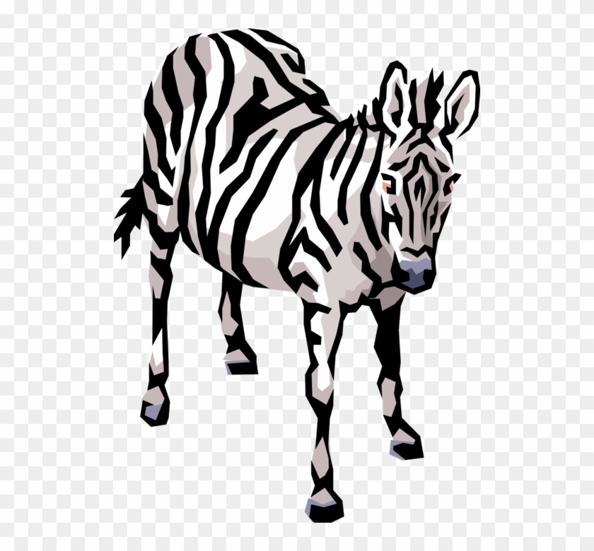 African Zebra Horse Image - African Zebra Horse Image #1485127