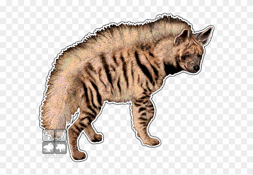 Striped Hyena Decal - Striped Hyena Decal #1485133