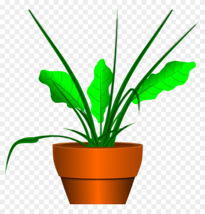 Clip Art Plant Free Plant Clipart Graphics Of Plants - Clip Art Plant Free Plant Clipart Graphics Of Plants #1485362