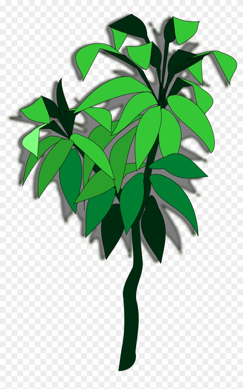 Branch Flowerpot Houseplant Leaf - Branch Flowerpot Houseplant Leaf #1485379