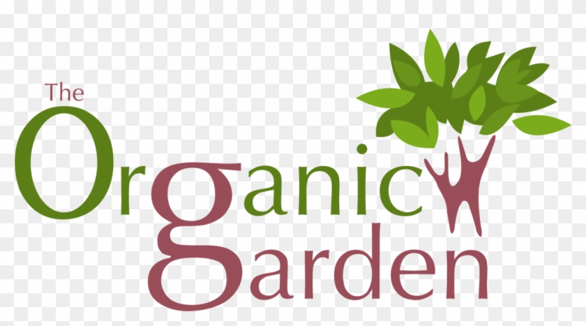 Buy Organic Vegetables,fruits & Groceries In Mumbai,india - Buy Organic Vegetables,fruits & Groceries In Mumbai,india #1485449