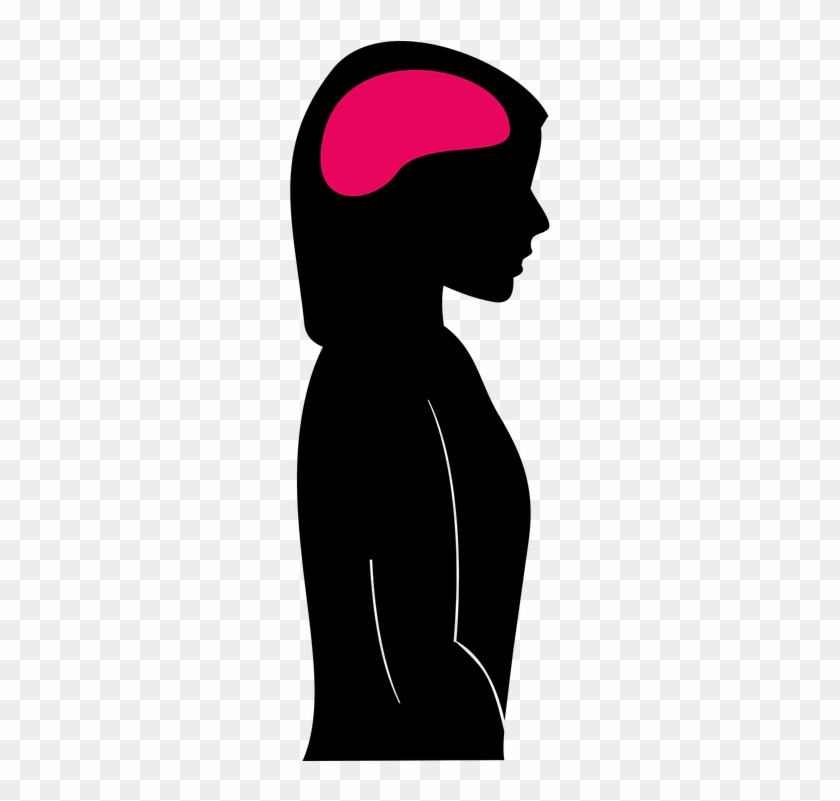 Brain-1293313 960 - Brain-1293313 960 #1485465