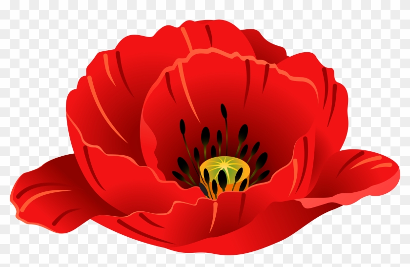 Patriotic Images, Art Images, Poppies, Clip Art, Art - Patriotic Images, Art Images, Poppies, Clip Art, Art #1485768