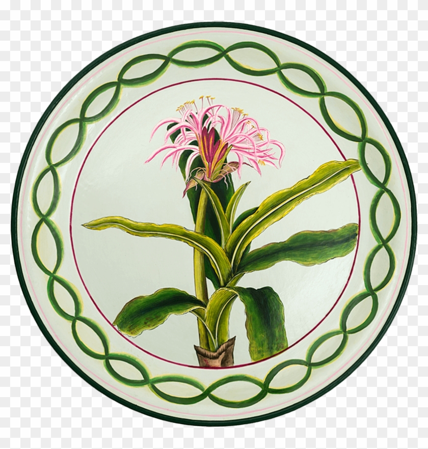 Tol-47 Lily - Tol-47 Lily #1485832