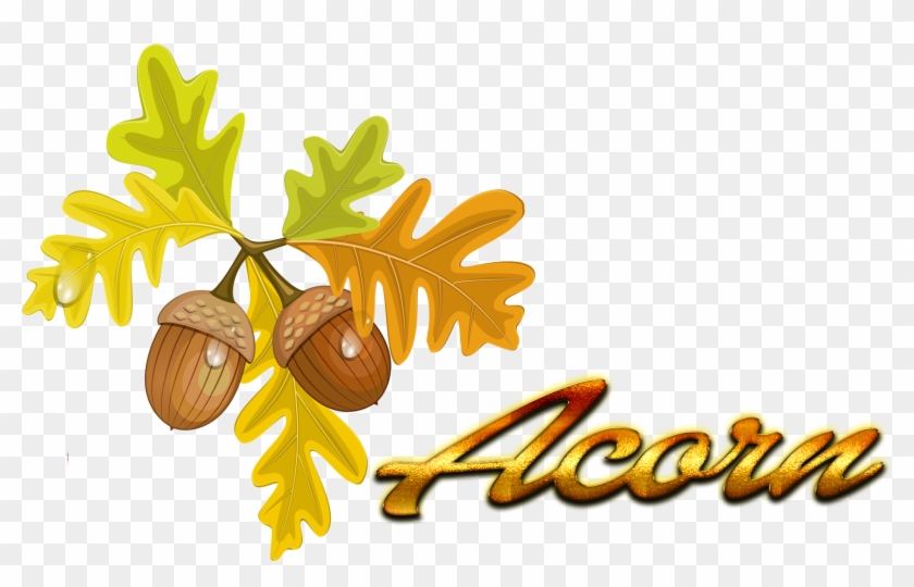 Acorn Autumn Leaf Color Quercus Cerris Clip Art - Acorn Autumn Leaf Color Quercus Cerris Clip Art #1485966