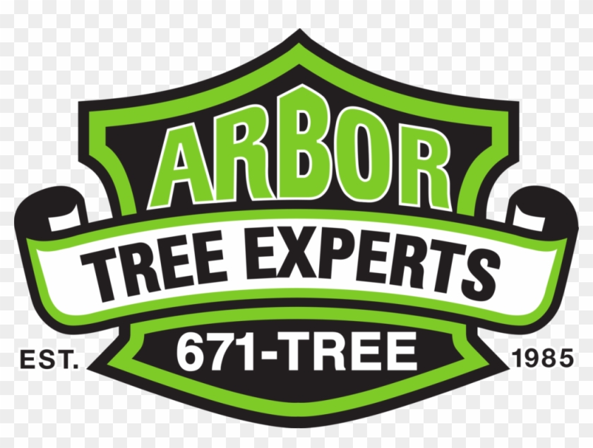 Arbor Tree Experts, Tree Service Webster - Arbor Tree Experts, Tree Service Webster #1485987