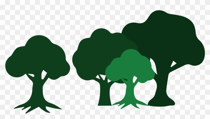 Wildcat Creek Tree Services Has The Skills To Assist - Wildcat Creek Tree Services Has The Skills To Assist #1485994