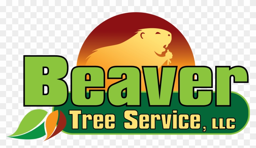 Beaver Tree Service - Beaver Tree Service #1485998