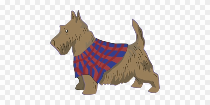 Scottish Terrier Cairn Terrier Scotland Puppy - Scottish Terrier Cairn Terrier Scotland Puppy #1486741