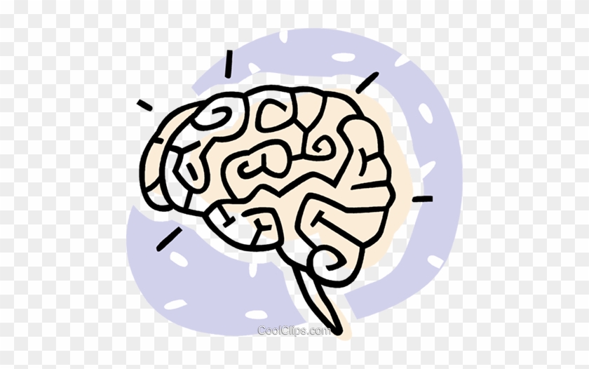 Human Brains Royalty Free Vector Clip Art Illustration - Human Brains Royalty Free Vector Clip Art Illustration #1486833