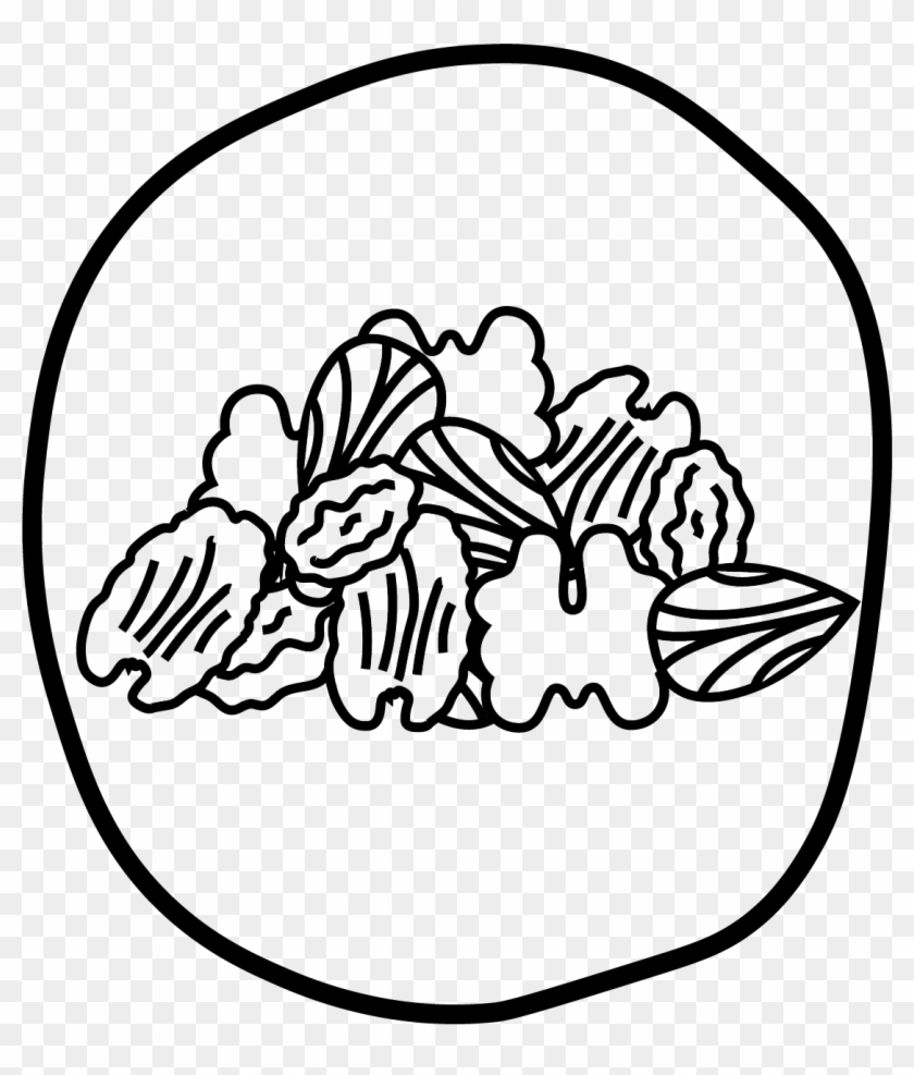 Daily Portion Of Nuts - Daily Portion Of Nuts #1487175