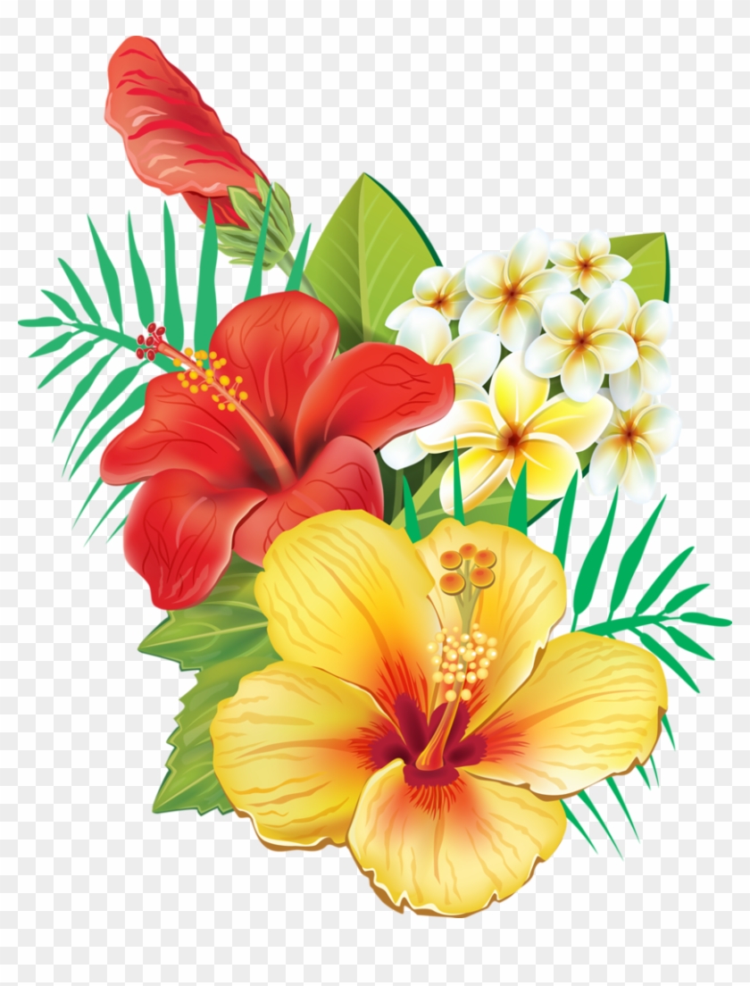 Tropical Hawaiian Flowers, Hibiscus Flowers, Tropical - Tropical Hawaiian Flowers, Hibiscus Flowers, Tropical #1487707
